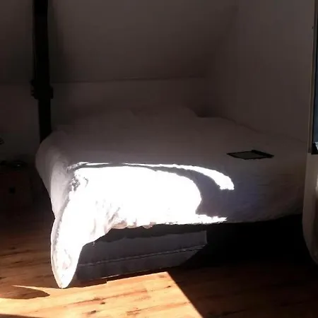 Center Loft 公寓 祖特尔梅尔