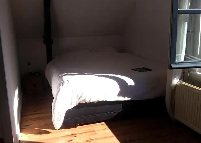 Center Loft 公寓 祖特尔梅尔